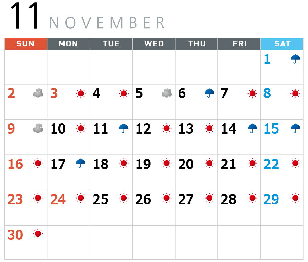 11月